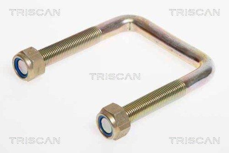 TRISCAN 8765 280001 Federbride für Citroen, Fiat, Peugeot