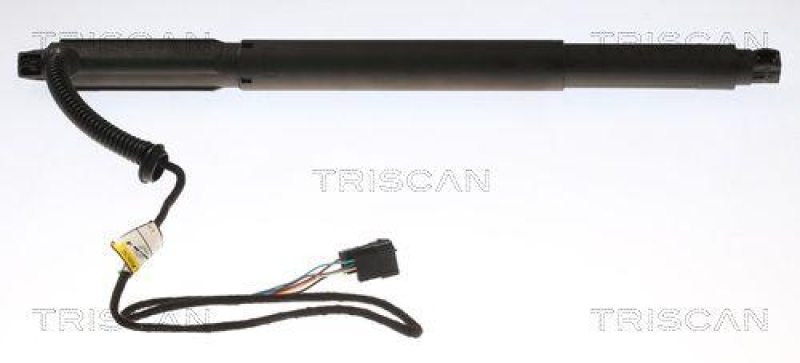 TRISCAN 8710 11301 Elektrische Gasfeder für Bmw X6 E71