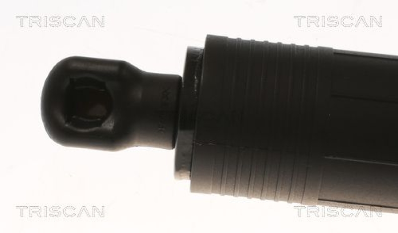 TRISCAN 8710 11360 Elektrische Gasfeder für X1 F48 2016-2017 Lh/Rh