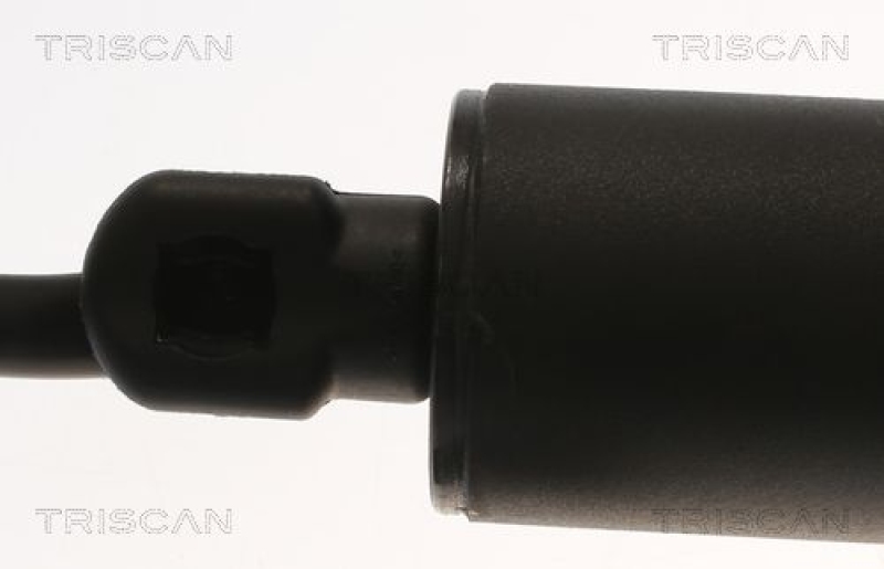 TRISCAN 8710 11361 Elektrische Gasfeder für X2 F39 2018-2020 L/H