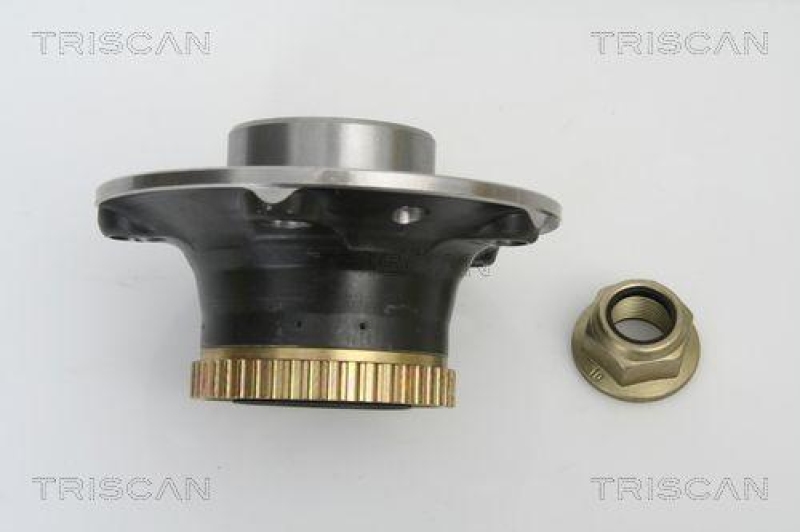 TRISCAN 8530 25245 Radlagersatz Hinten für Renault Laguna