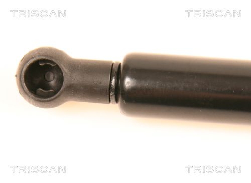 TRISCAN 8710 29249 Gasfeder Hinten für Audi A4, Avant