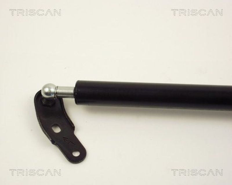 TRISCAN 8710 13231 Gasfeder Hinten für Toyota Carina E