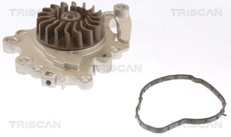 TRISCAN 8600 10089 Wasserpumpe für Psa, Ford, Ds