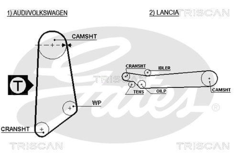 TRISCAN 8645 5031 Zahnriemen für Audi, Lancia, Volkswagen