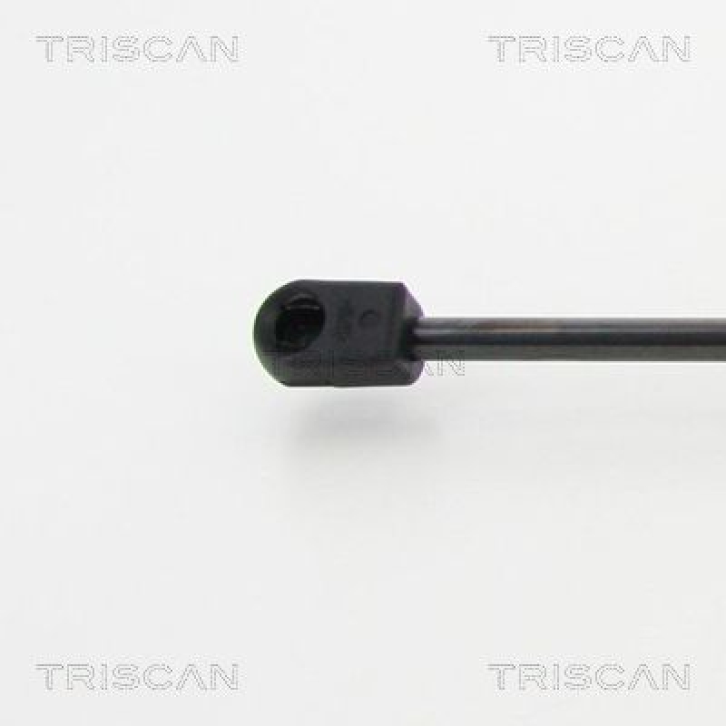 TRISCAN 8710 13279 Gasfeder Hinten für Toyota