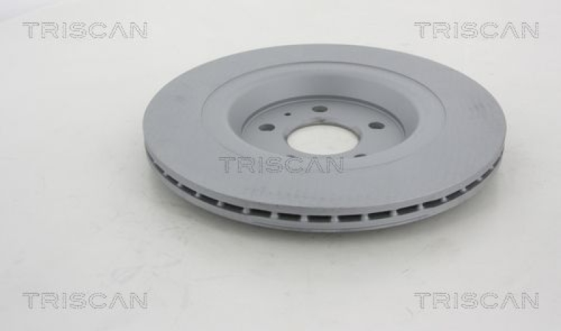 TRISCAN 8120 291020c Bremsscheibe Hinten, Coated für Audi