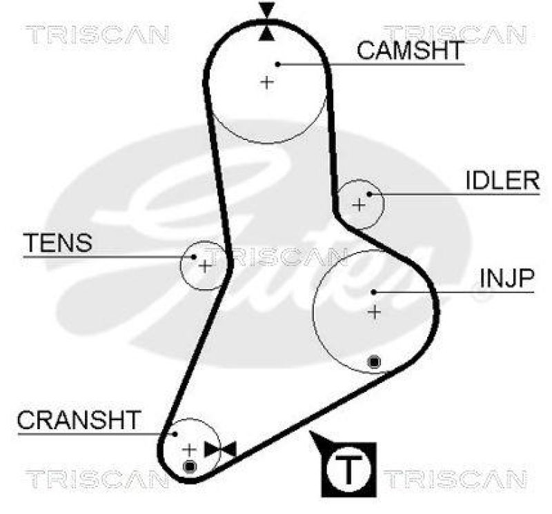 TRISCAN 8645 5039 Zahnriemen für Fiat, Iveco, Renault