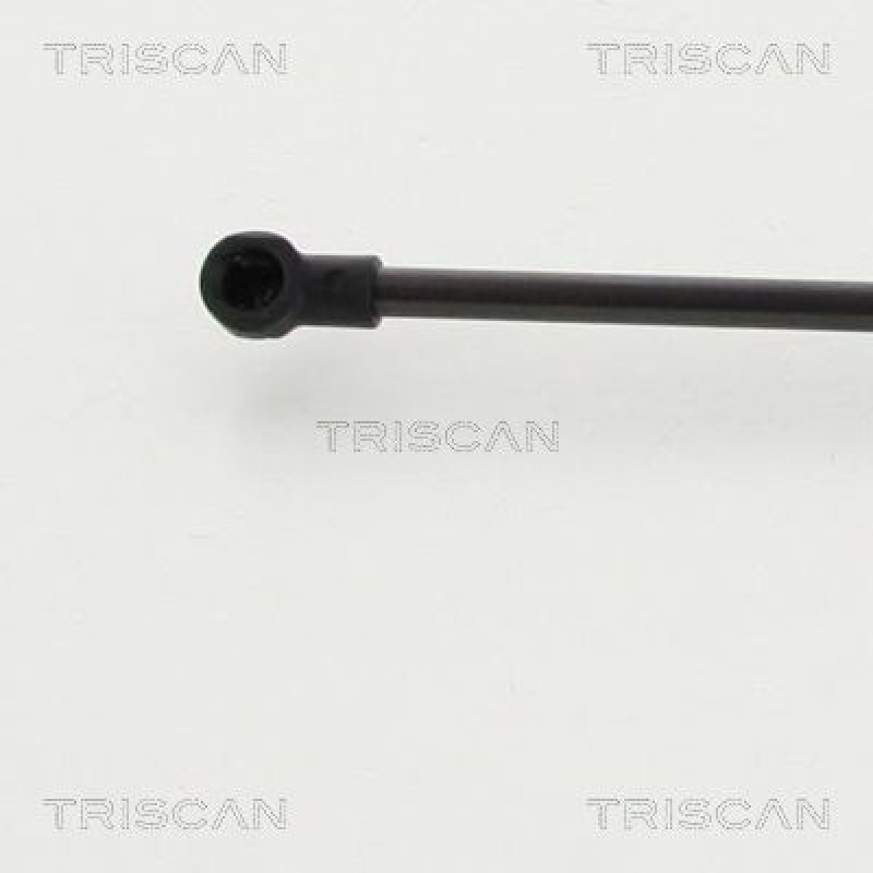 TRISCAN 8710 13284 Gasfeder Hinten für Toyota Auris