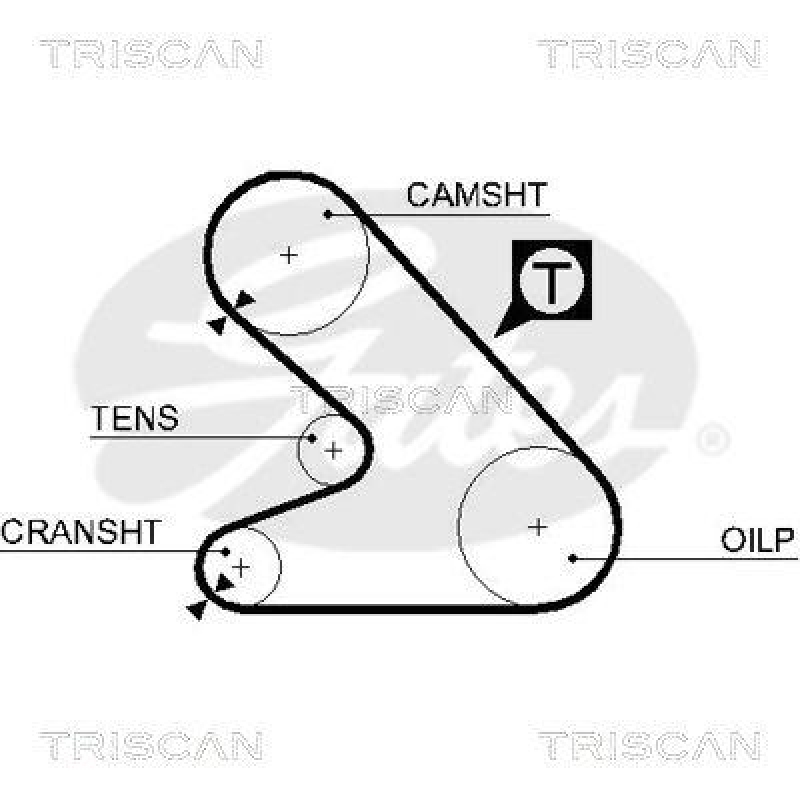 TRISCAN 8645 5054 Zahnriemen für Citroen, Peugeot, Talbot