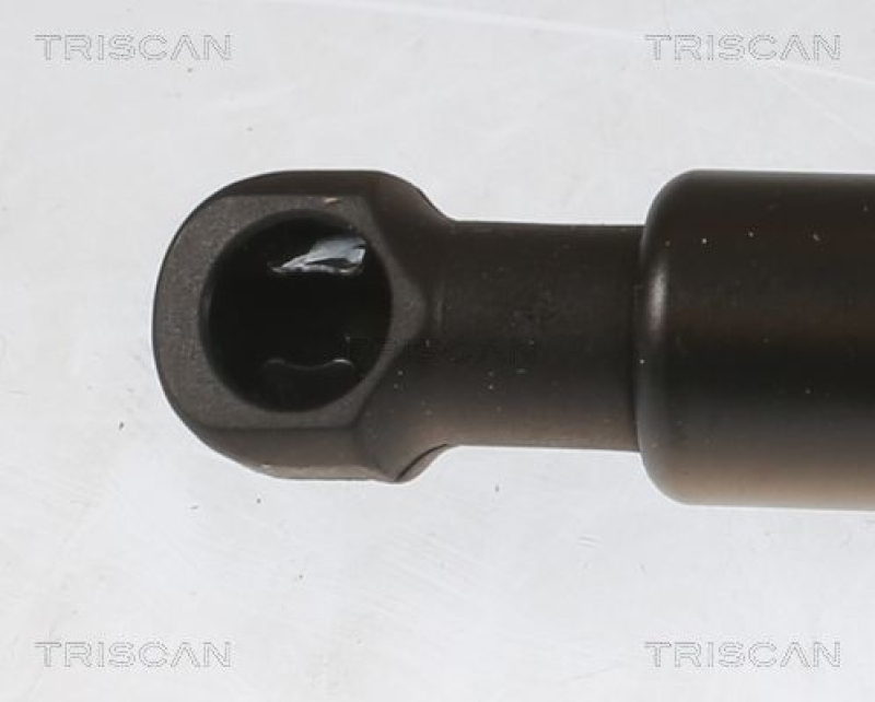 TRISCAN 8710 13296 Gasfeder Hinten für C-Hr 16-