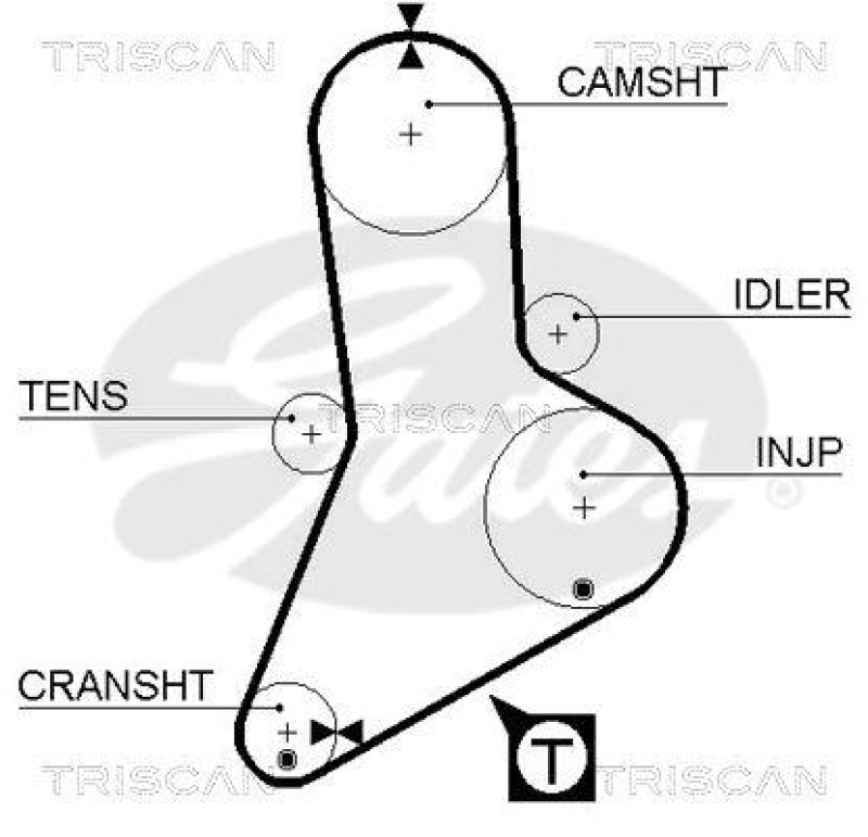 TRISCAN 8645 5113 Zahnriemen für Fiat, Renault Master