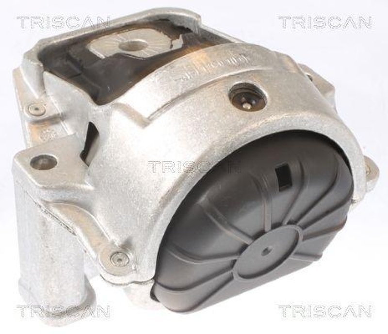 TRISCAN 8505 29130 Motoraufhängung für Audi