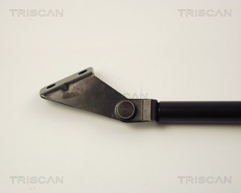 TRISCAN 8710 14217 Gasfeder Hinten für Nissan Sunny N14