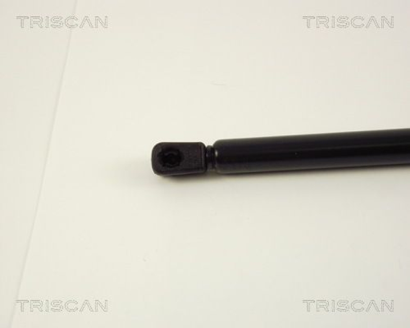 TRISCAN 8710 38204 Gasfeder Hinten für Citroén Ax