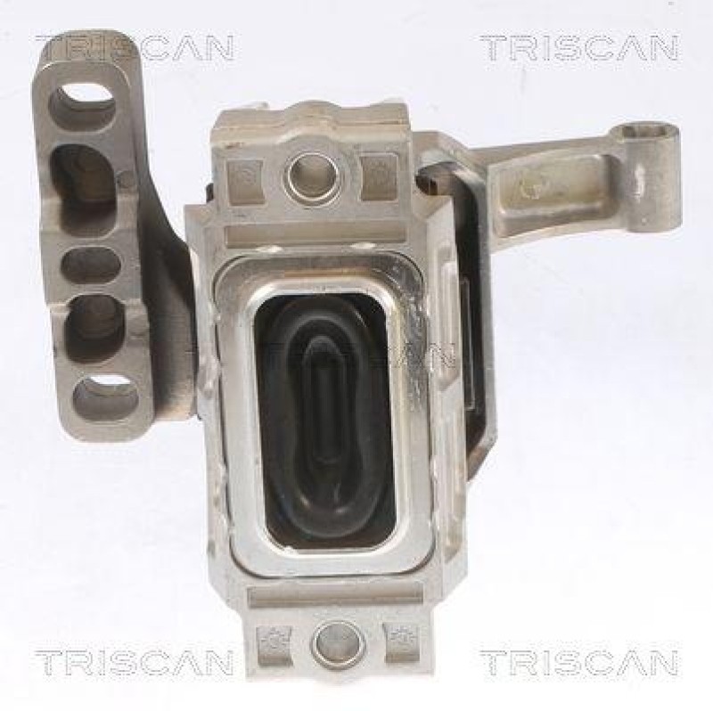 TRISCAN 8505 29134 Motoraufhängung für Audi, Seat, Skoda, Vw