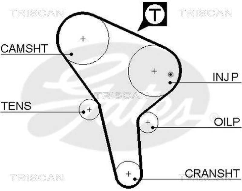 TRISCAN 8645 5176 Zahnriemen für Audi, Volkswagen