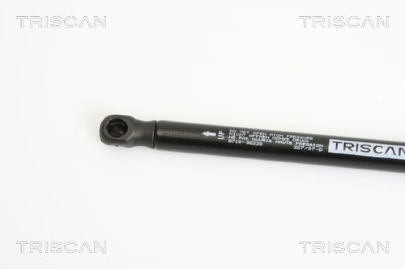 TRISCAN 8710 38220 Gasfeder Hinten für Citroen C4