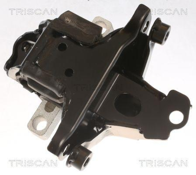 TRISCAN 8505 29139 Motoraufhängung für Audi, Seat, Skoda, Vw