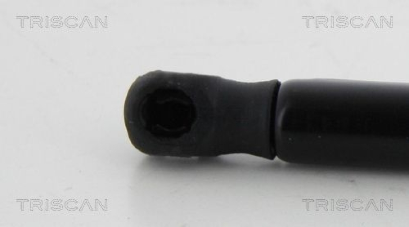 TRISCAN 8710 14248 Gasfeder Hinten für Nissan