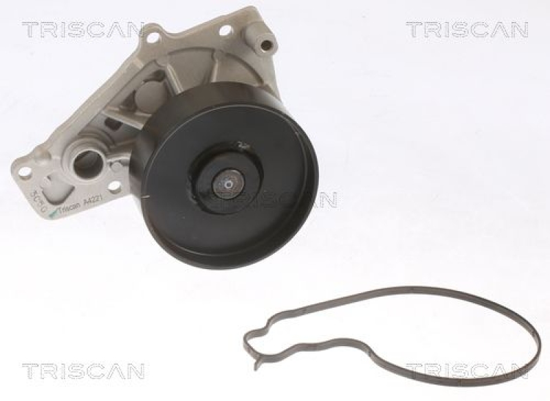 TRISCAN 8600 11061 Wasserpumpe für Bmw