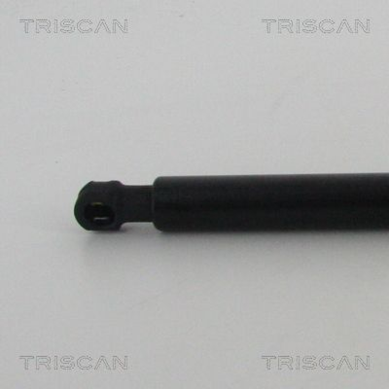 TRISCAN 8710 14254 Gasfeder Hinten für Nissan