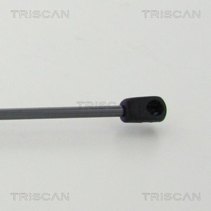 TRISCAN 8710 14255 Gasfeder Hinten für Nissan Note 8/13-