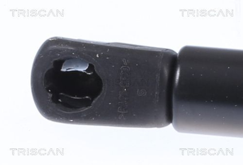 TRISCAN 8710 14259 Gasfeder Hinten für Nissan Leaf