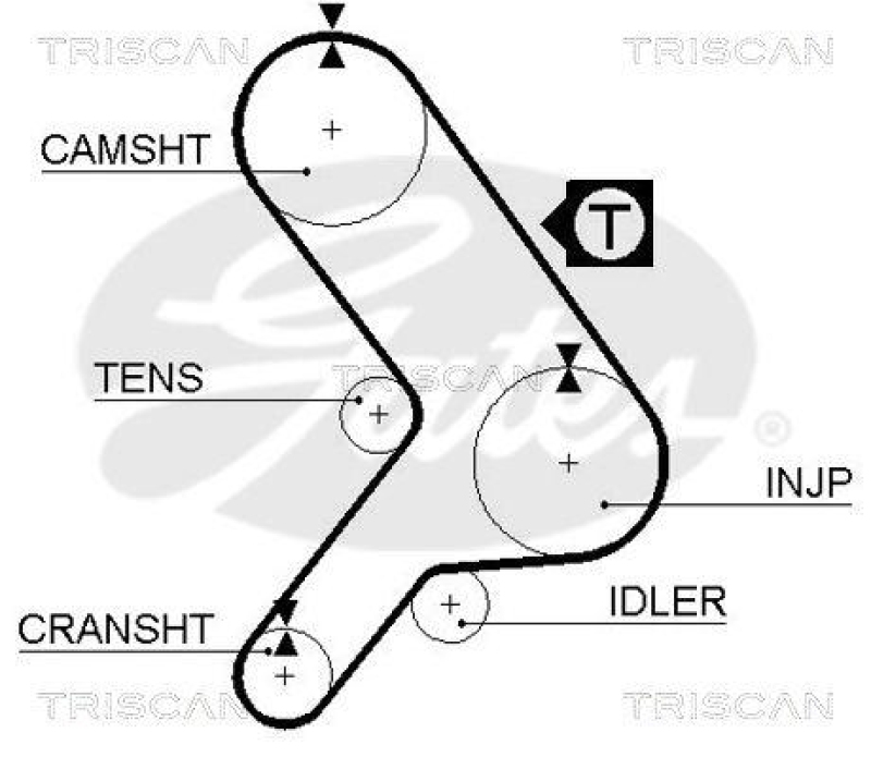 TRISCAN 8645 5281 Zahnriemen für Fiat Ducato