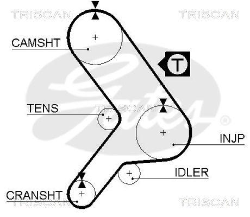 TRISCAN 8645 5299 Zahnriemen für Fiat Ducato