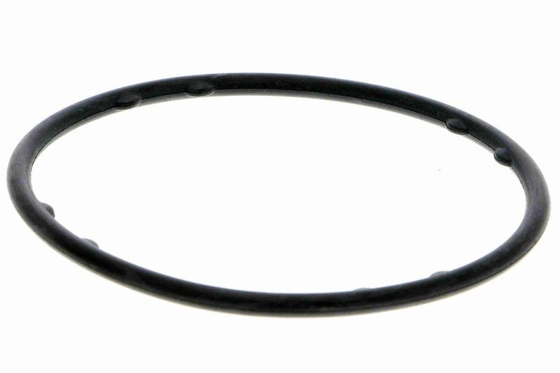 VAICO V10-50099 Wasserpumpe, Motorkühlung für VW