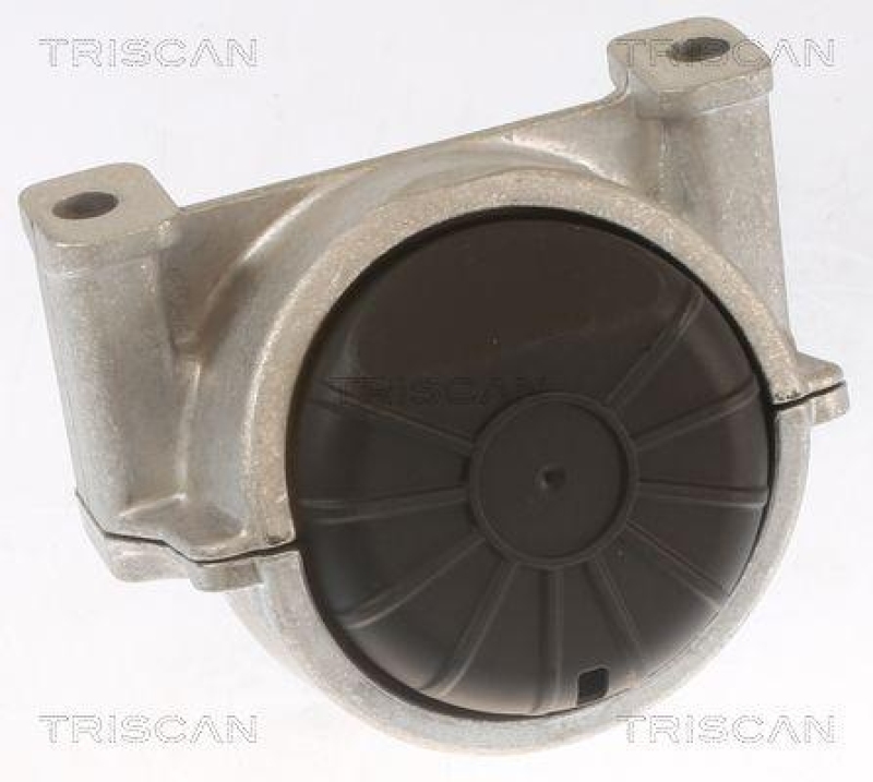 TRISCAN 8505 29155 Motoraufhängung für Audi A4, A5