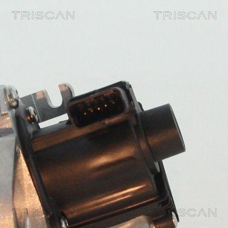 TRISCAN 8813 10007 Agr Ventil für Ford/Volvo/Mazda