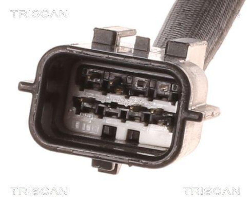 TRISCAN 8813 10012 Agr Ventil für Nissan/Renault/Opel