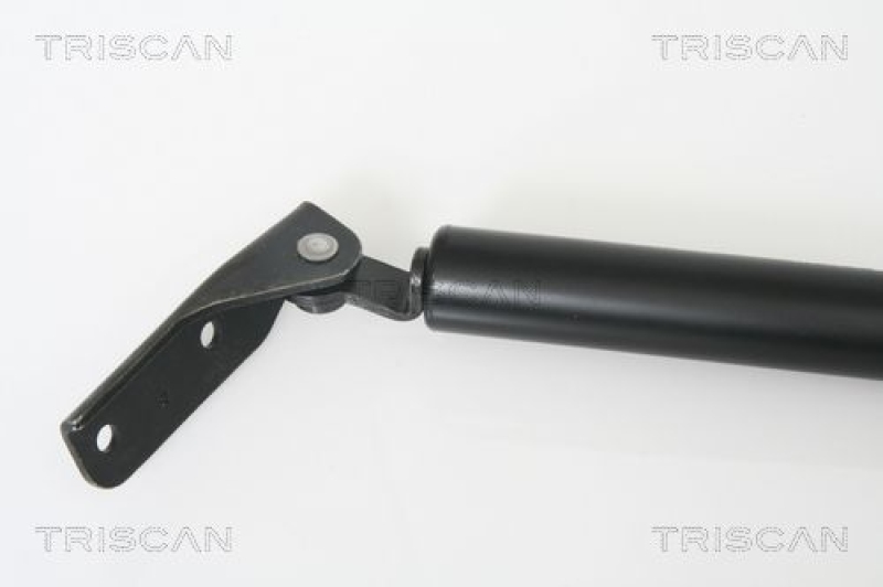 TRISCAN 8710 42229 Gasfeder Hinten für Mitsubishi L400