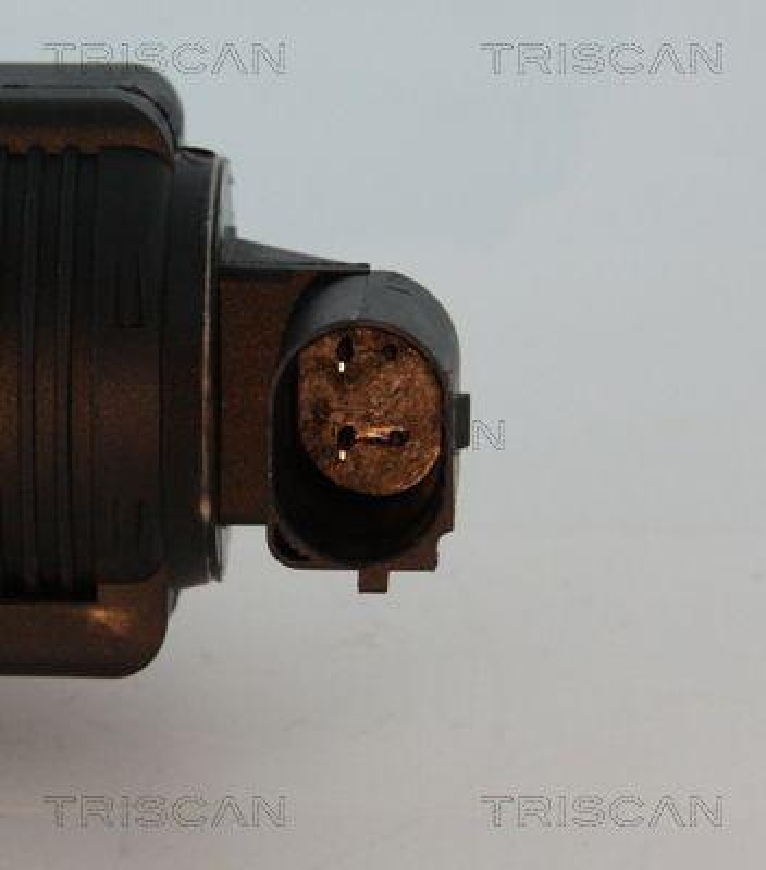 TRISCAN 8813 10015 Agr Ventil für Opel/Fiat/Gm