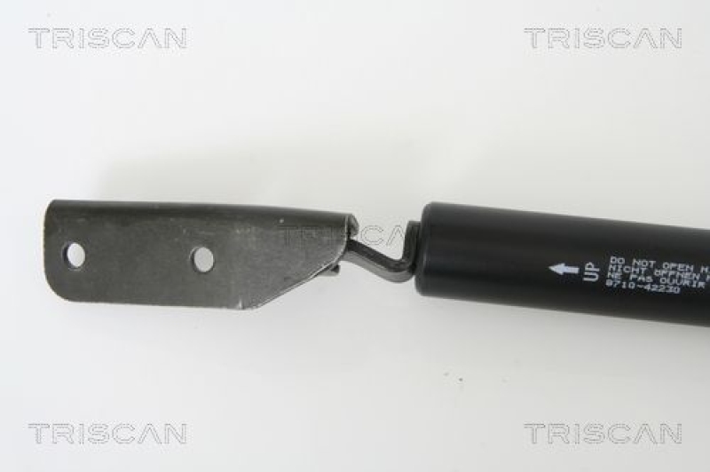 TRISCAN 8710 42230 Gasfeder Hinten für Mitsubishi L400