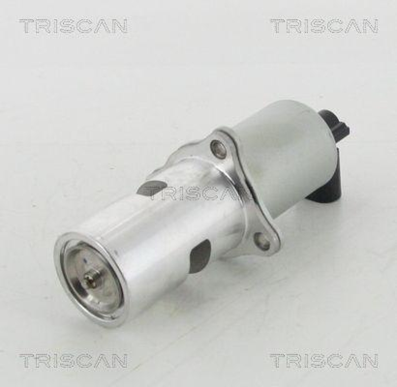 TRISCAN 8813 10100 Agr Ventil für Renault/Nissan