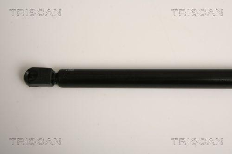 TRISCAN 8710 15242 Gasfeder Hinten Fenster für Fiat Stilo Wagon Window