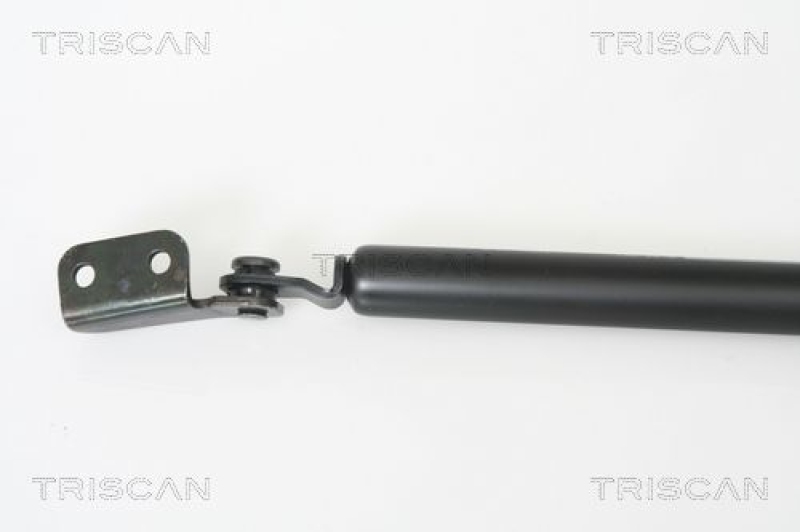 TRISCAN 8710 43221 Gasfeder Hinten für Hyundai Terracan