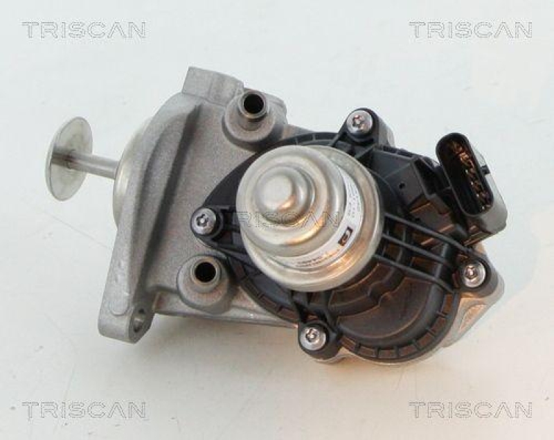 TRISCAN 8813 11007 Agr Ventil für Bmw