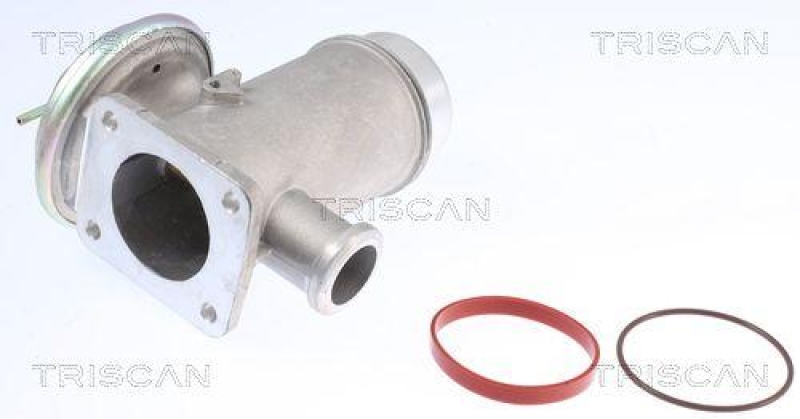 TRISCAN 8813 11102 Agr Ventil für Bmw