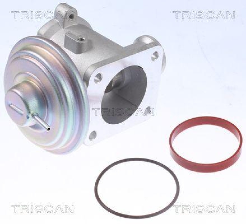 TRISCAN 8813 11105 Agr Ventil für Bmw