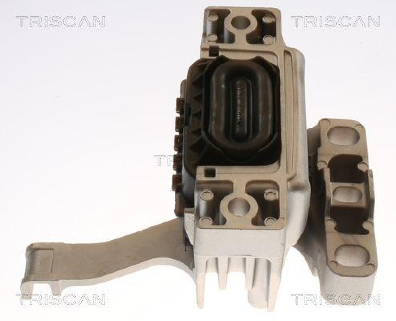 TRISCAN 8505 29173 Motoraufhängung für Vw Tiguan