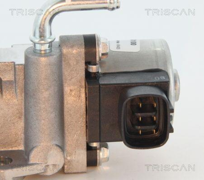 TRISCAN 8813 13002 Agr Ventil für Toyota