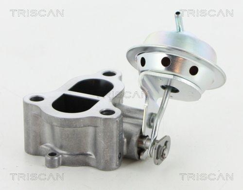 TRISCAN 8813 13065 Agr Ventil für Toyota