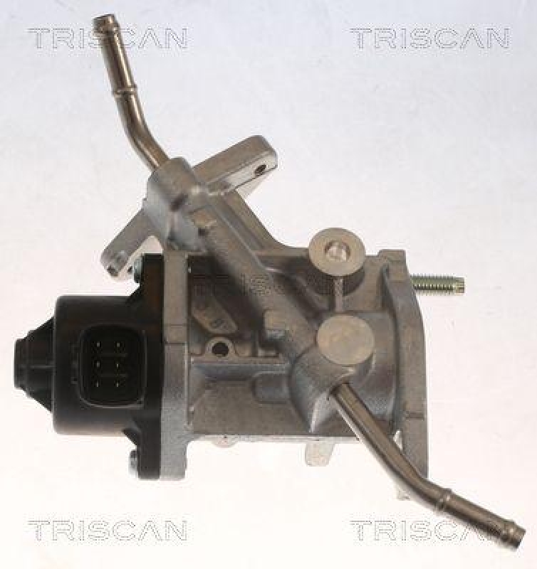 TRISCAN 8813 13068 Agr Ventil für Toyota