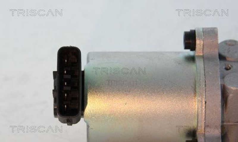 TRISCAN 8813 13102 Agr Ventil für Toyota