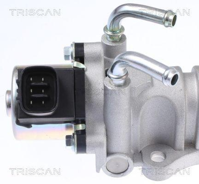 TRISCAN 8813 13201 Agr Ventil für Toyota