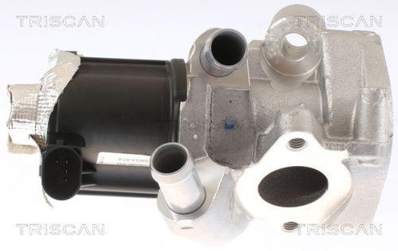 TRISCAN 8813 14006 Agr Ventil für Nissan, Infiniti